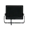 Proyector LED de exterior - RGBCW - 50W - mando a distancia IR - IP65