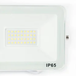 Proyector LED exterior 30W - 95lm/W - IP65 - Blanco