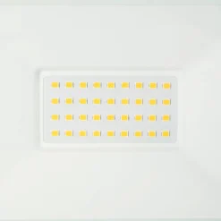 Proyector LED exterior 30W - 95lm/W - IP65 - Blanco