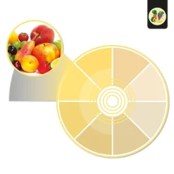 Proyector LED para carril monofásico 40W - Fruterías y verdulerías