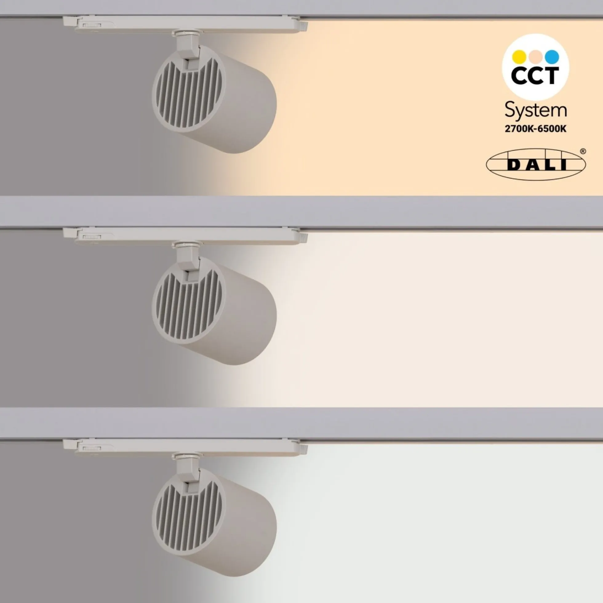 Proyector LED para carril trifásico 36W - DALI - CCT - CRI90 - Chip OSRAM