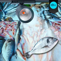 Proyector LED para carril trifásico 40W - Pescados y Mariscos - Driver Philips Xitanium