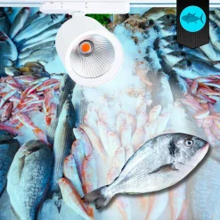 Proyector LED para carril trifásico 40W - Pescados y Mariscos - Driver Philips Xitanium