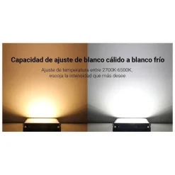Proyector LED RGB+CCT - 50W - 4200lm - control por RF y WiFi - IP65