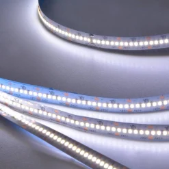 Tira de LED 24V-DC 26W/m CRI90 monocolor IP20 Rollo 5 metros