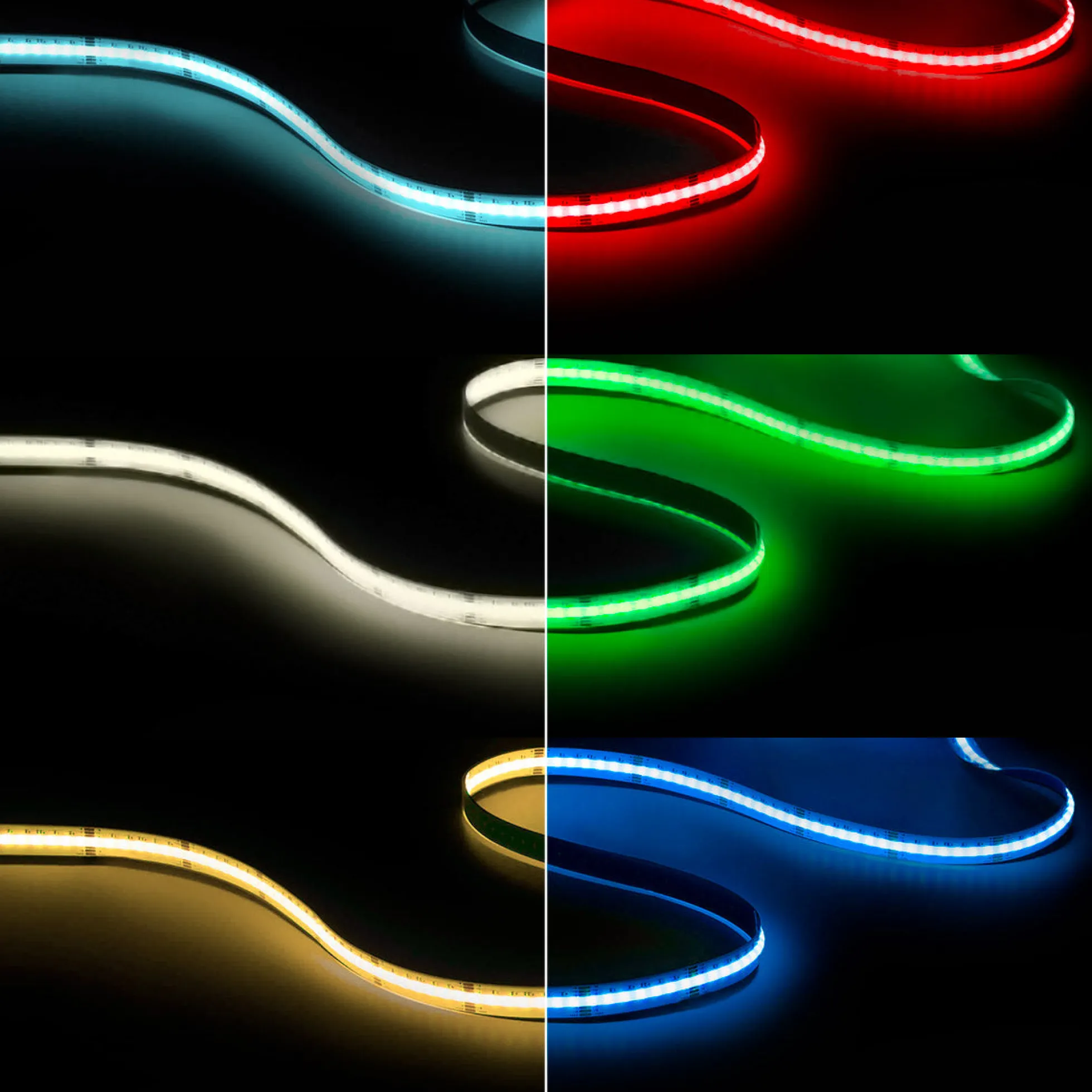 Tira LED COB 24V DC - RGB + CCT - 19W/m - 12mm - IP20 - Rollo de 10 metros