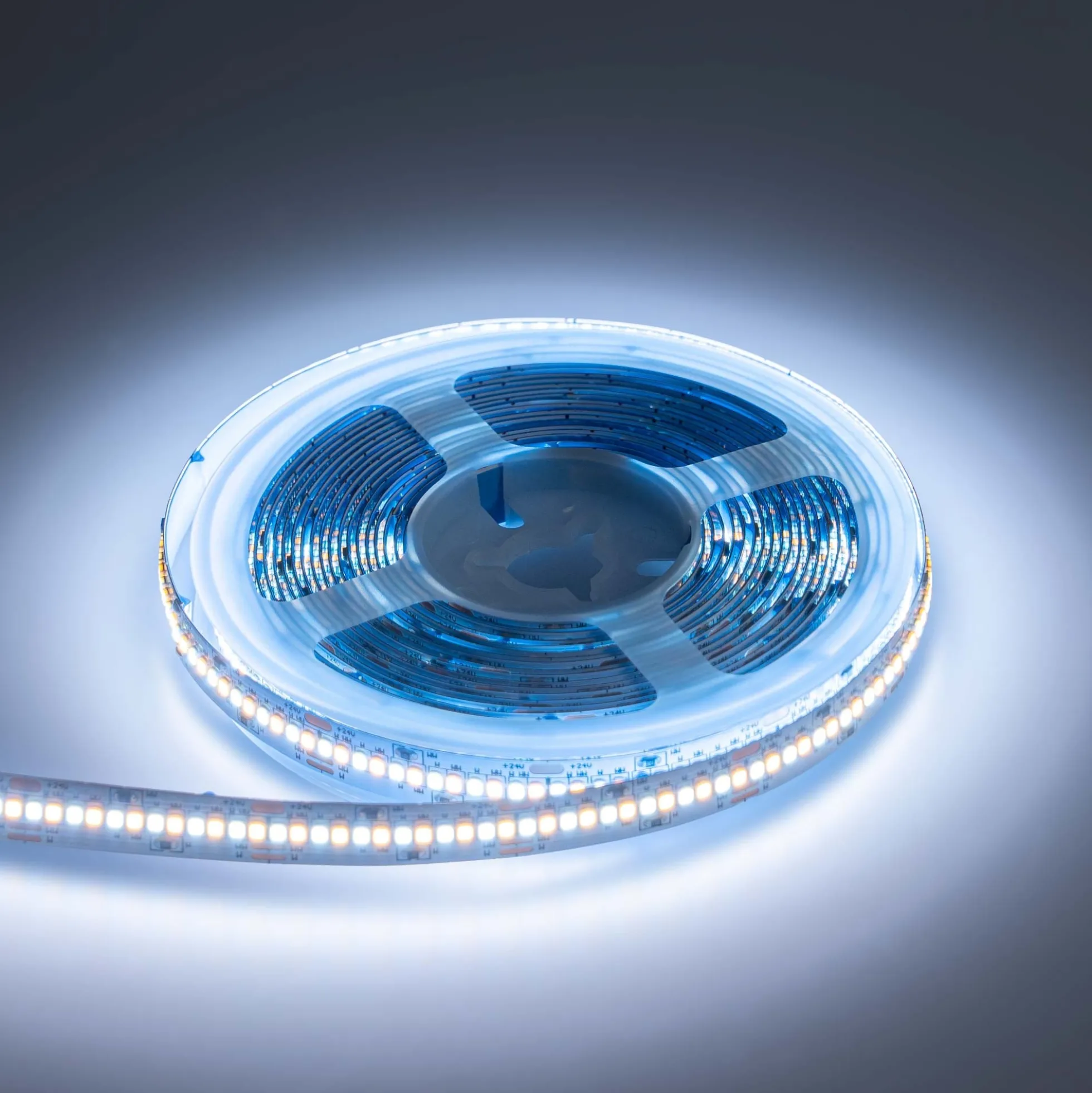 Tira LED SMD2216 - CCT - 24V DC - 30W/m - 10mm - IP20 - 5 metros
