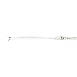 Tira LED 220V AC - Monocolor - 8W/m - 10mm - IP65 - 5 metros - 120ch/m