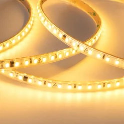 Tira LED 220V AC - Monocolor - 8W/m - 10mm - IP65 - 5 metros - 120ch/m