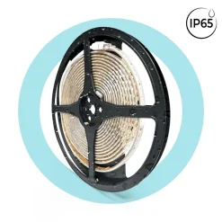Tira LED 220V AC - Monocolor - 8W/m - 10mm - IP65 - 5 metros - 120ch/m