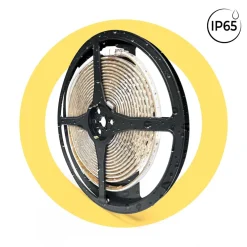 Tira LED 220V AC - Monocolor - 8W/m - 10mm - IP65 - 5 metros - 120ch/m