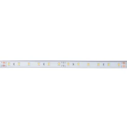 Tira LED 24V DC - 12W/m - Monocolor- 12mm - IP67 - 5 metros - SMD2835 60ch/m