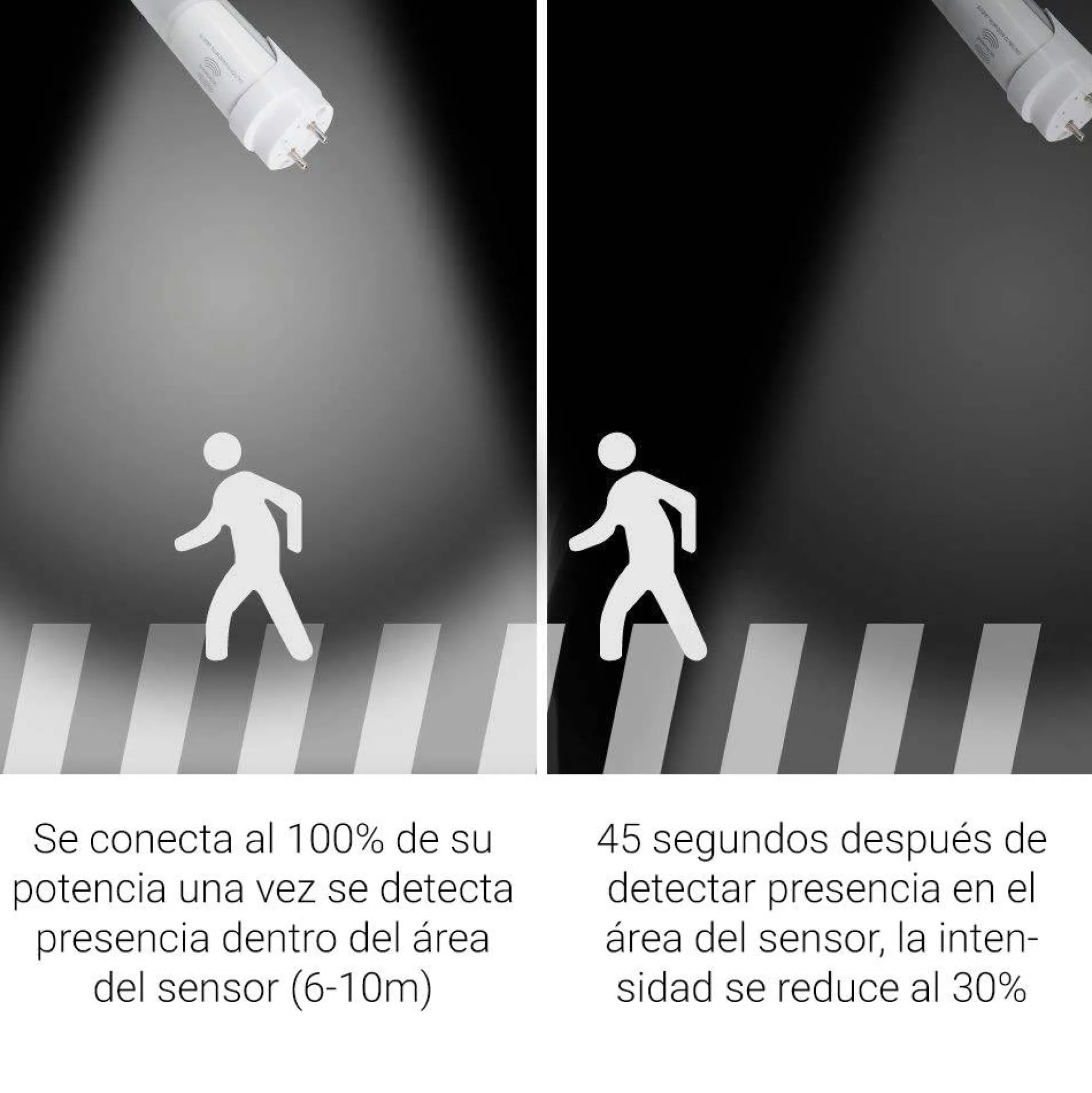 Tubo LED T8 60cm 9W con sensor microondas blanco 6000K cristal opal