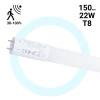 Tubo LED T8 con sensor de movimiento microondas 30-100% - 22W - 150 cm - 6000K