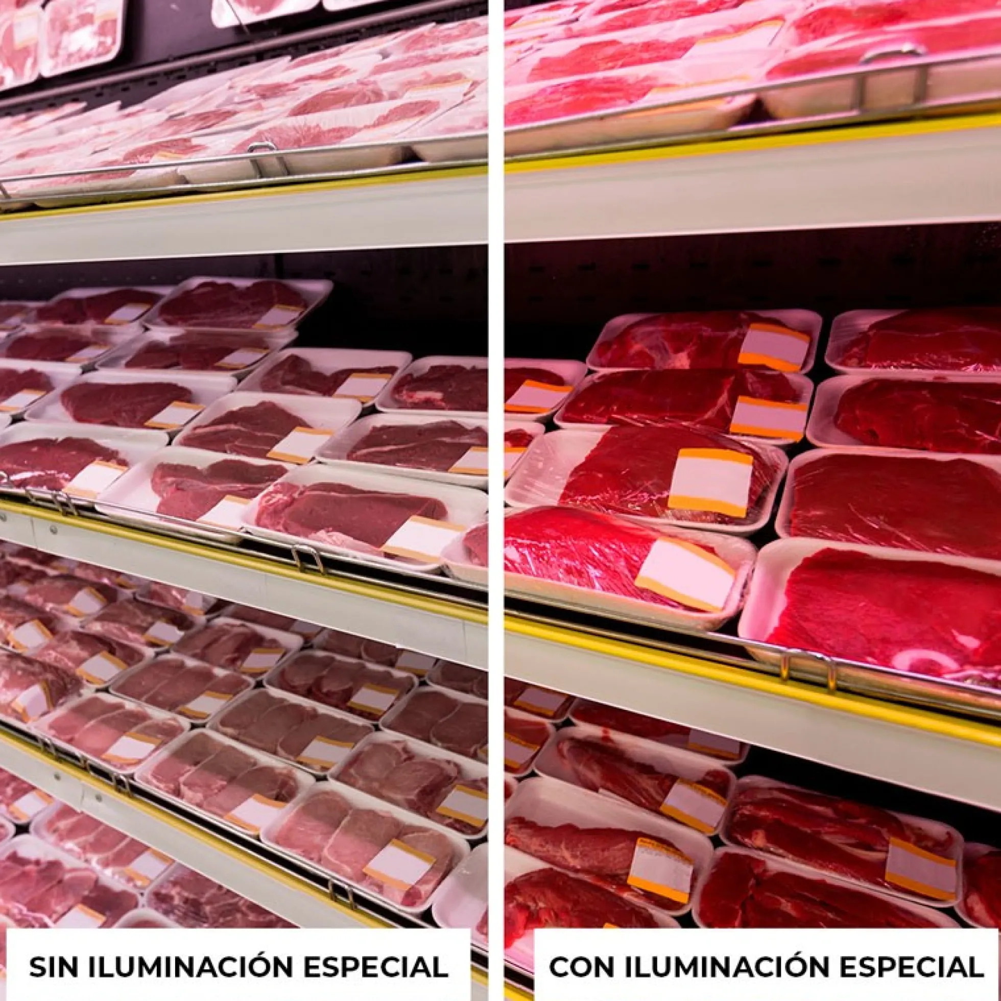 Tubo LED T8 especial carnicerías 120cm 18W