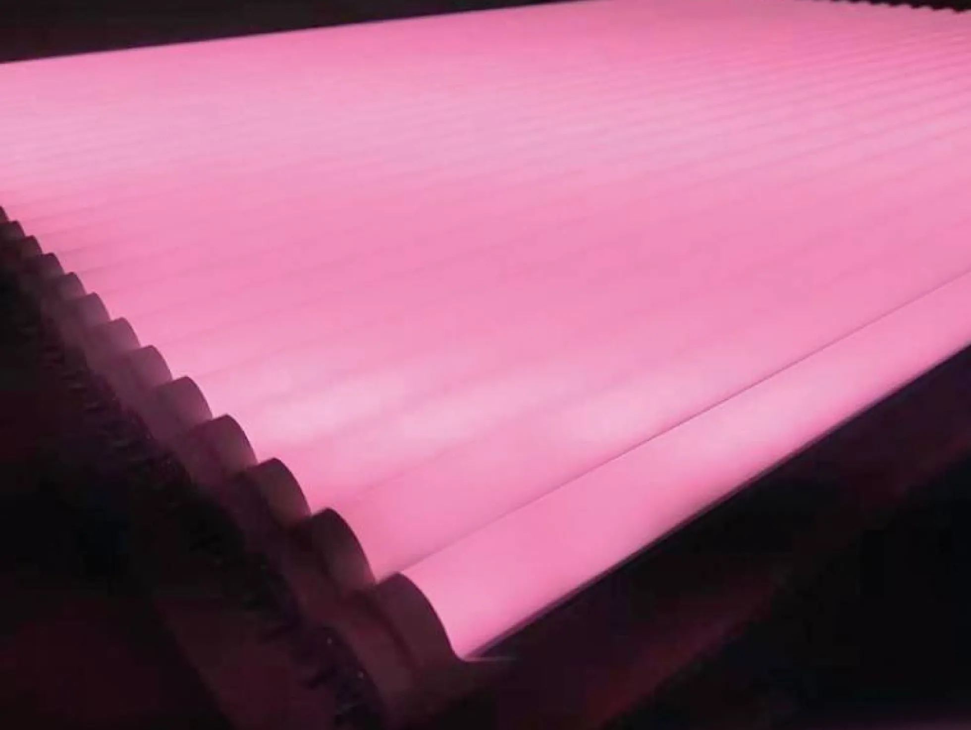 Tubo LED T8 especial carnicerías 150cm 22W